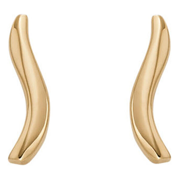 Náušnice Skagen 50841341