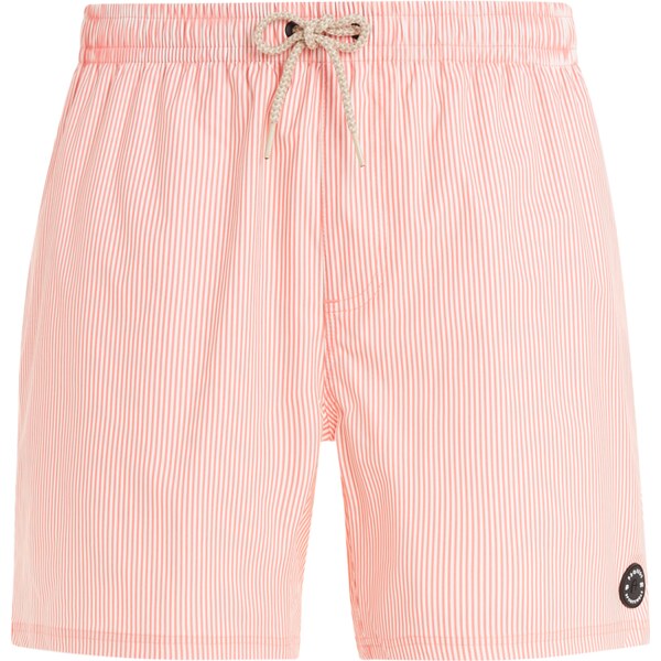 Mens beach shorts Protest PRTMANAMA 59806966