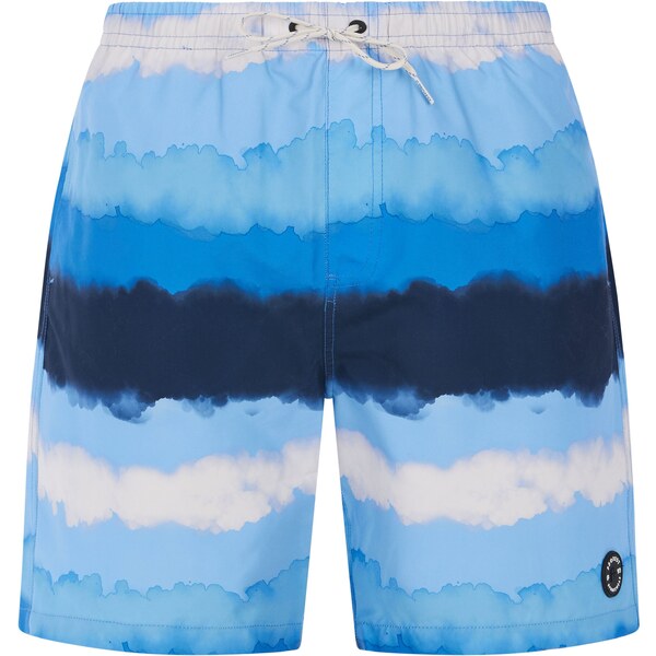 Mens beach shorts Protest PRTHAMSEY 59806975
