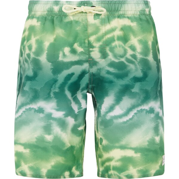 Boys beach shorts Protest PRTDANIEL JR 59807037