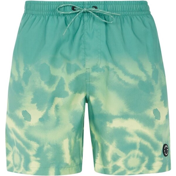 Mens beach shorts Protest PRTAGOR 59807049