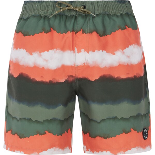 Mens beach shorts Protest PRTHAMSEY 59827696