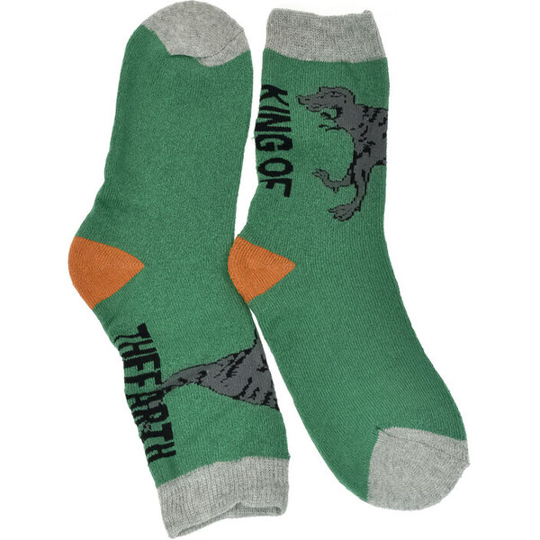AURA.VIA Detské bavlnené zelené ponožky King of Earth 24-35 59829660