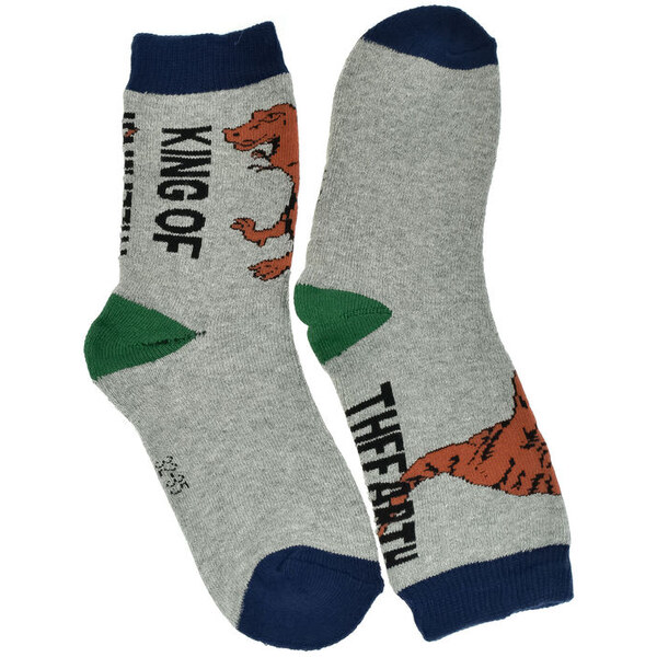 AURA.VIA Detské bavlnené svetlosivé ponožky King of Earth 24-35 59829657