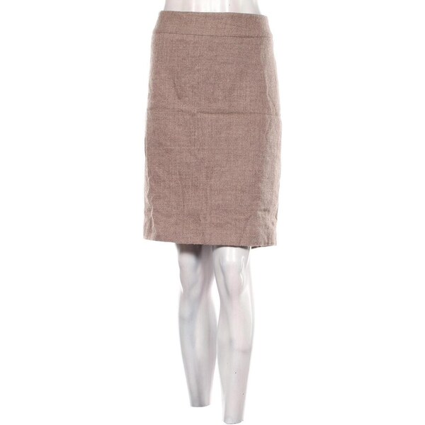 Sukňa Ann Taylor 59889654