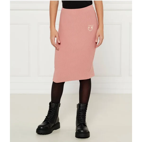 Pinko UP Sukňa 60121759