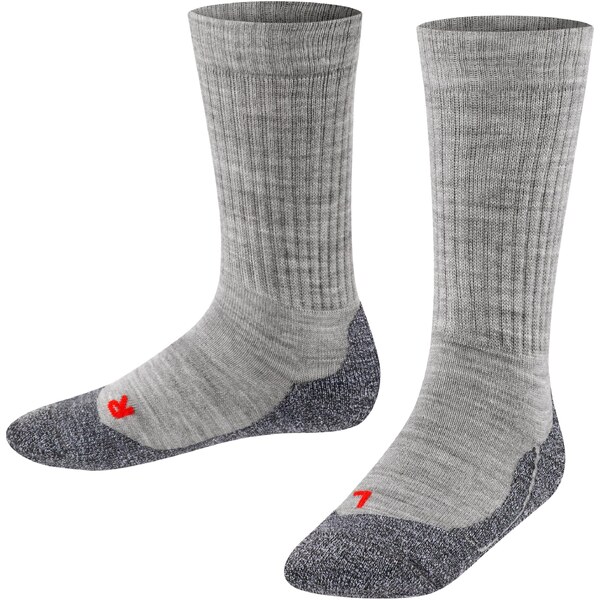 FALKE Športové ponožky sivá / tmavosivá 60184952