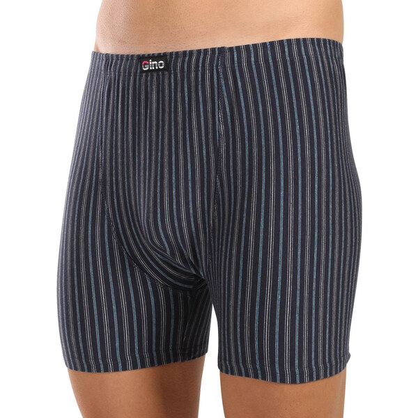 Pánske boxerky Gino viacfarebné (74169-DCMDxA) 60406486