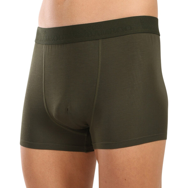 Pánske boxerky Gino zelené (73126) 60406489