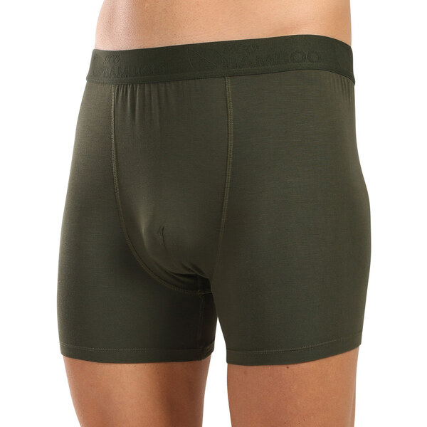 Pánske boxerky Gino zelené (74160-DCZ) 60406492