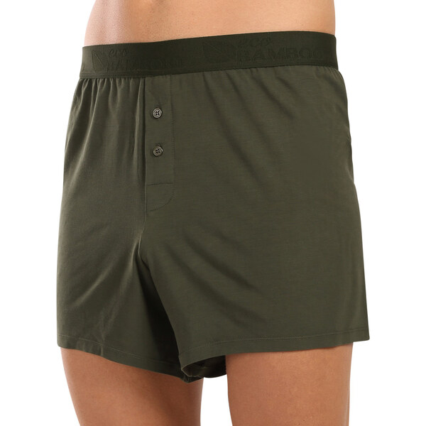 Pánske trenky Gino bambusové zelené (75195-DCZ) 60406493