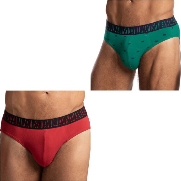 LAMA Pánske slipy 2 pack 1055SD 60665467