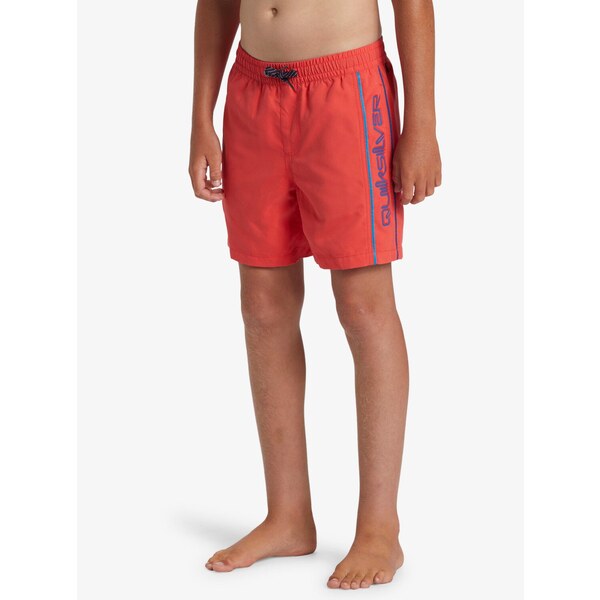 Boys shorts swimsuit Quiksilver EVERYDAY VERT VOLLEY 60709763