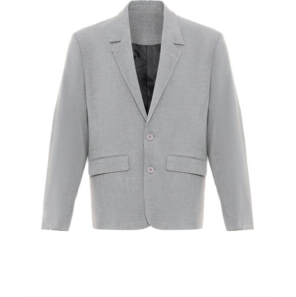 VAMOS CLO Sako sivá 61944375