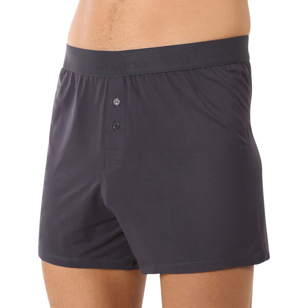 Pánske trenky Gino bambusové sivé (75195) 47199583