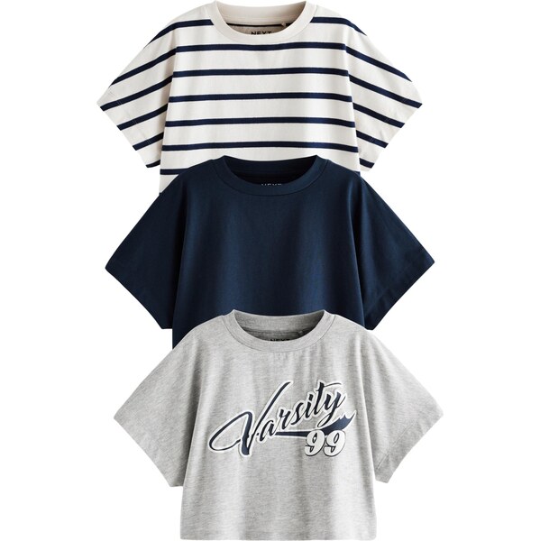 Next Tričko modrá / sivá / biela 62225058