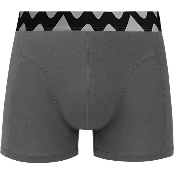 VUCH Pánske boxerky Evans Grey 65404918