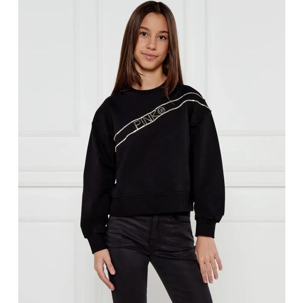 Pinko UP Mikina | Regular Fit 61109391