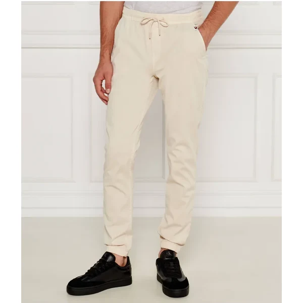 Tommy Jeans Jogger nohavice TJM AUSTIN | Slim Fit 61554821