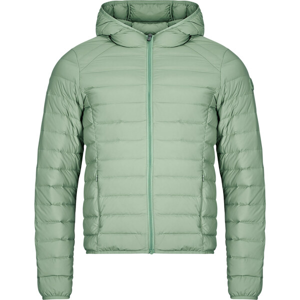 JOTT Bundy FRANTZ JOTT 62508860