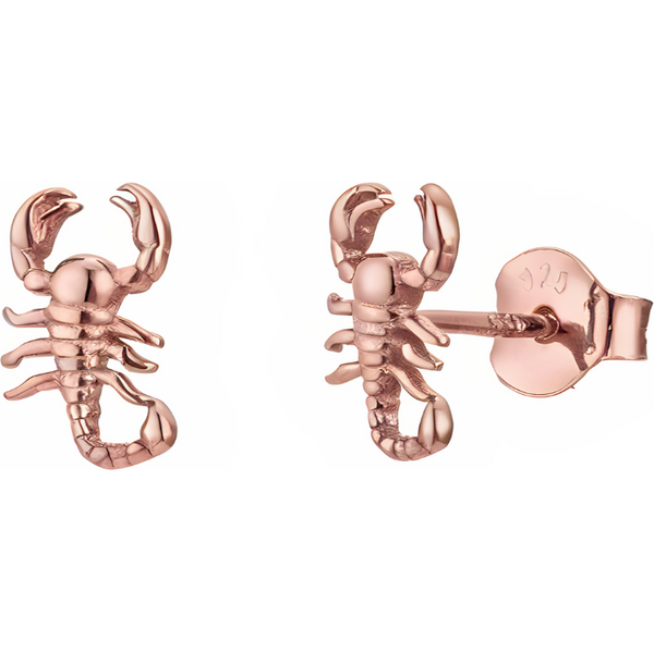 Olivie Stříbrné náušnice ŠTÍR ROSE 9345 65048774