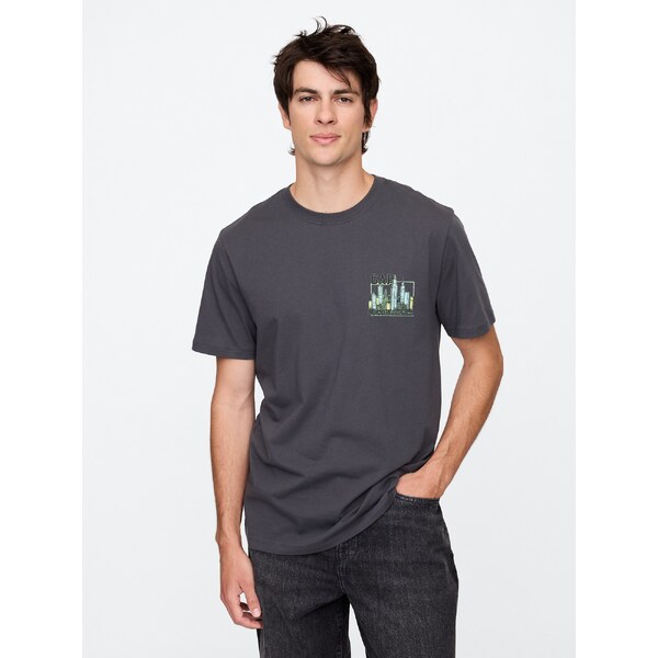 GAP Pánske Tričko s logom 646674-01 66266300