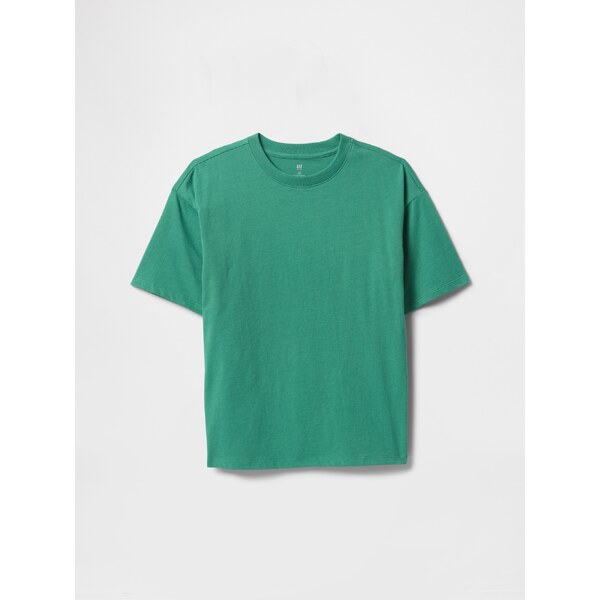 GAP Chlapčenské Bavlnené tričko 831299-34 66266108