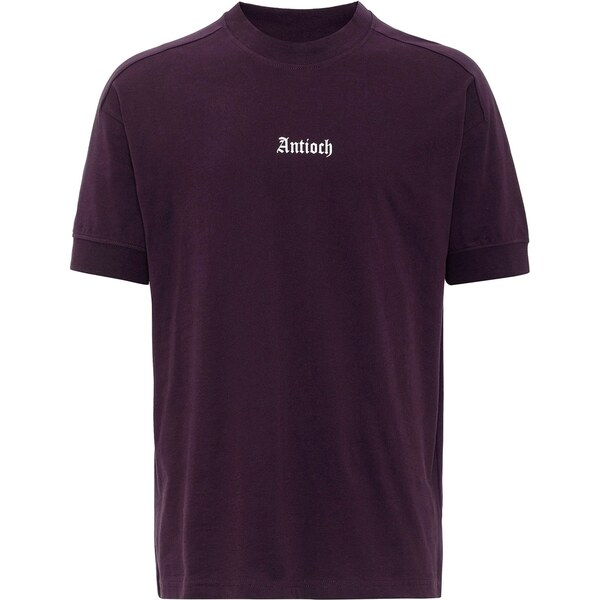 Antioch Tričko hnedá / biela 62052736