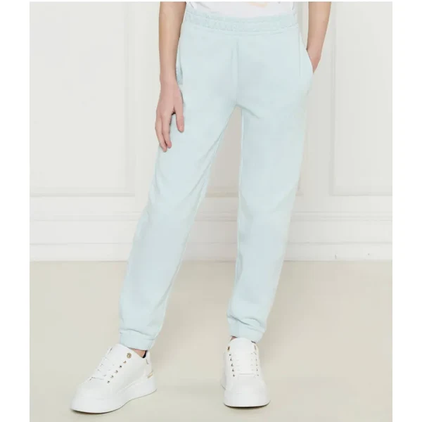 Guess Teplákové nohavice | Regular Fit 62129665