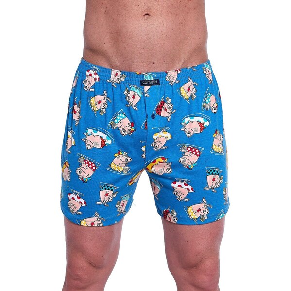 Pánske trenky Cornette Classic 011/170 3XL-5XL 62987656