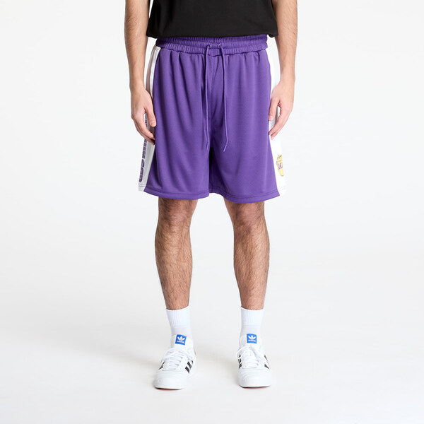 Šortky New Era Los Angeles Lakers NBA Graphic Mesh Shorts True Purple 62334530