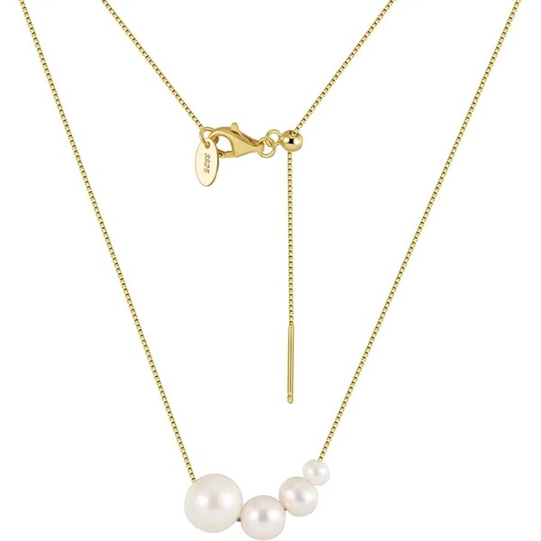 MAJYA Strieborná retiazka s príveskom FLEUR pozlátená 11651 64582697