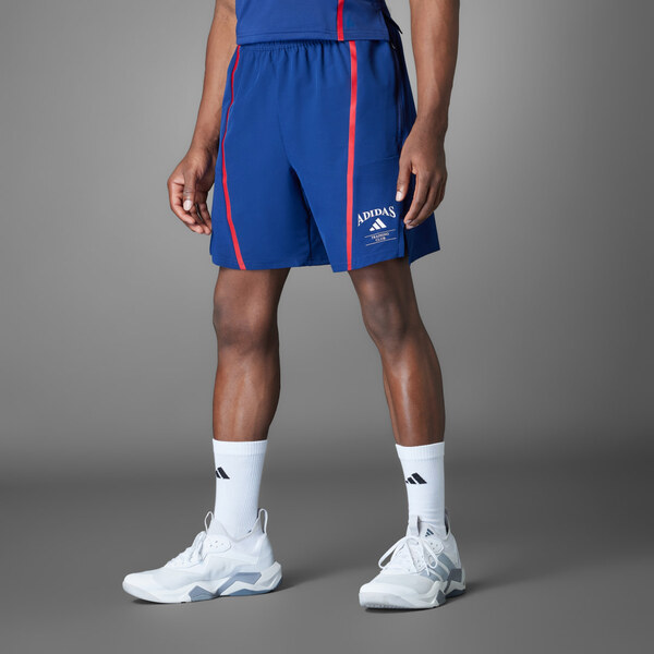 Adidas Šortky Designed-for-Training Legacy 63047359