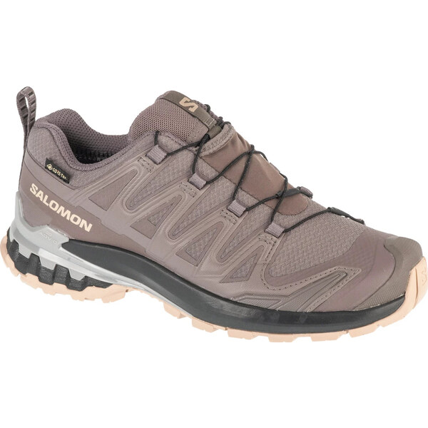 Tmavosivé dámske bežecké topánky Salomon Salomon XA Pro 3D v9 GTX W 62159910