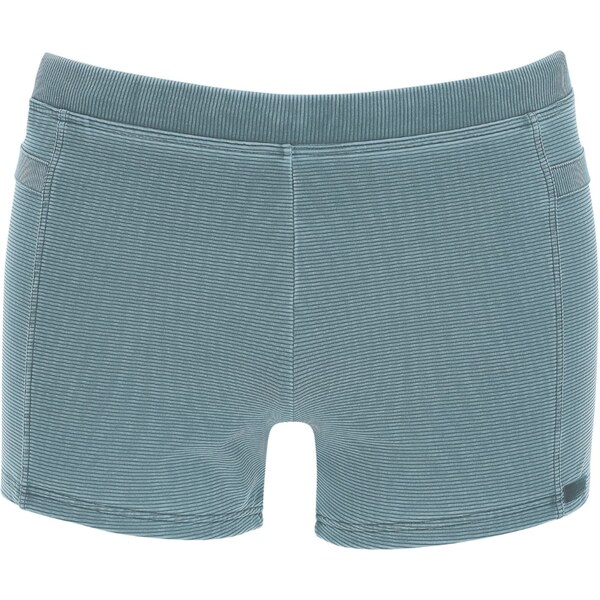 wavebreaker Plavky modrá 62584093