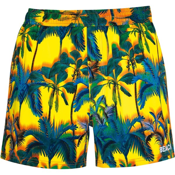 wavebreaker Plavecké šortky žltá / tmavozelená / oranžová / čierna 62584100