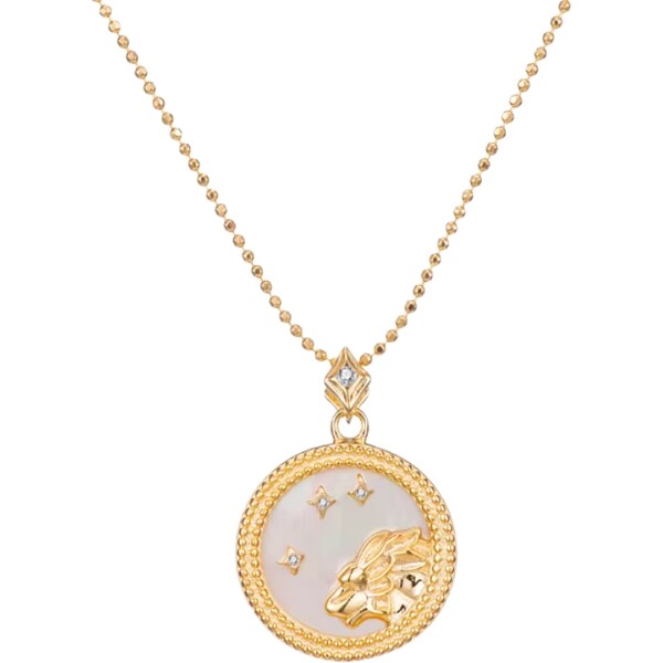 MAJYA Strieborný prívesok s retiazkou MOONLIGHT LEO 10882 64582004