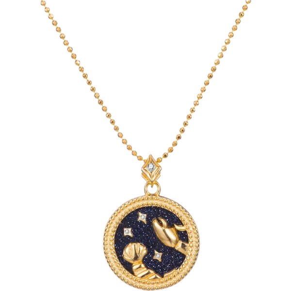 MAJYA Strieborný prívesok s retiazkou BLACKSKY CANCER 10893 64582021