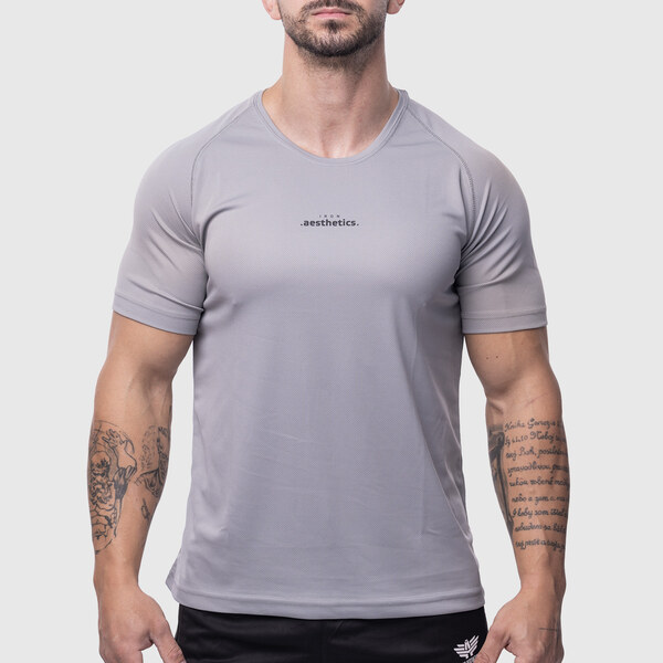 Pánske športové tričko Iron Aesthetics Training, sivé 62644644