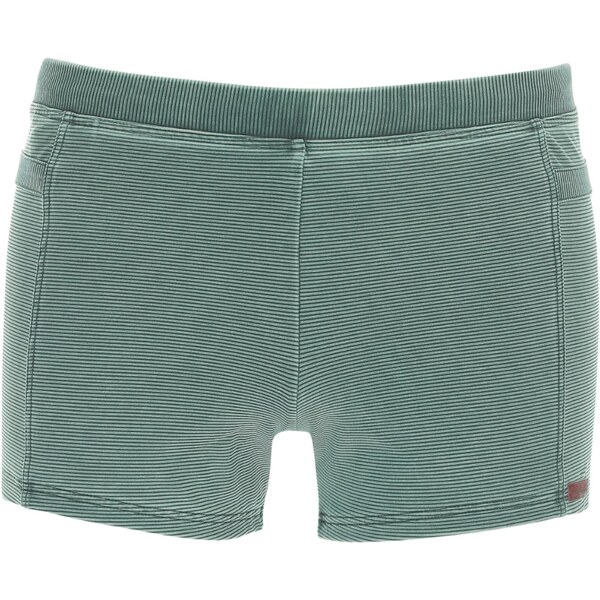 wavebreaker Plavky pastelovo zelená 62662983