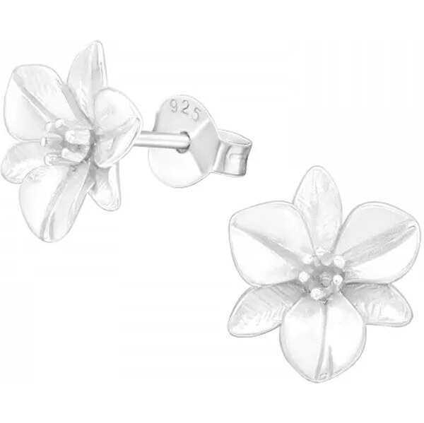 Dámske strieborné náušnice ERLA 62660841