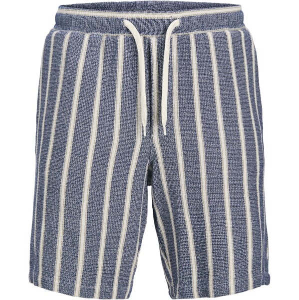 JACK & JONES Nohavice JPSTJAiden nebielená / námornícka modrá / biela 63067711