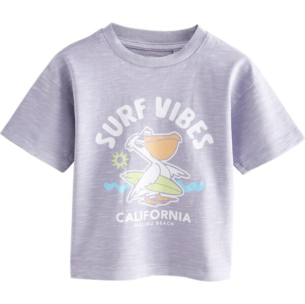 Next Tričko vodová / svetlozelená / orgovánová / biela 63095418