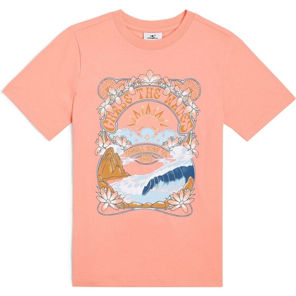 ONEILL Tričko modrá / svetlomodrá / koňaková / koralová 63167990