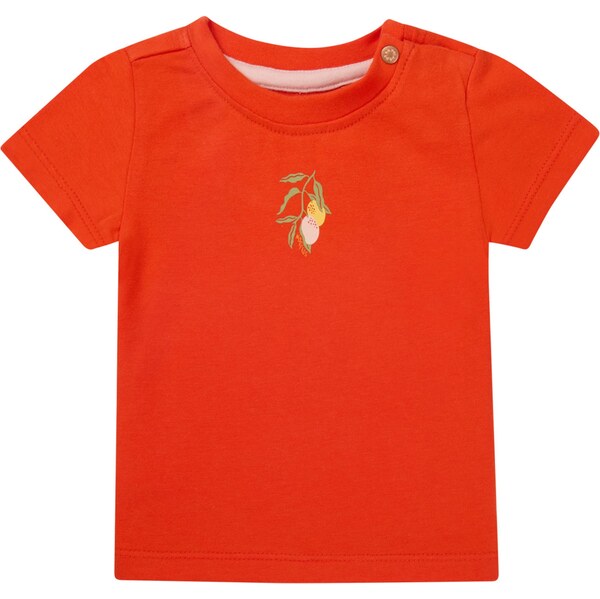 Noppies Tričko Minkler pastelovo žltá / pastelovo zelená / homárová / 63344259