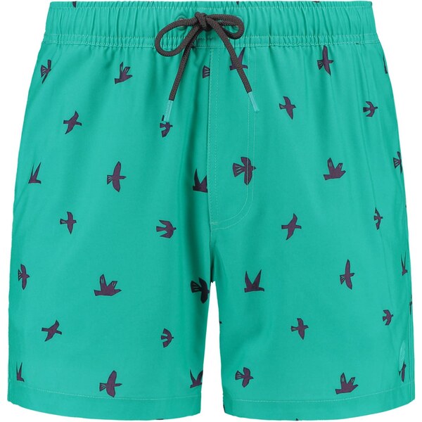Shiwi Plavecké šortky Scott Birds námornícka modrá / nefritová 63430950