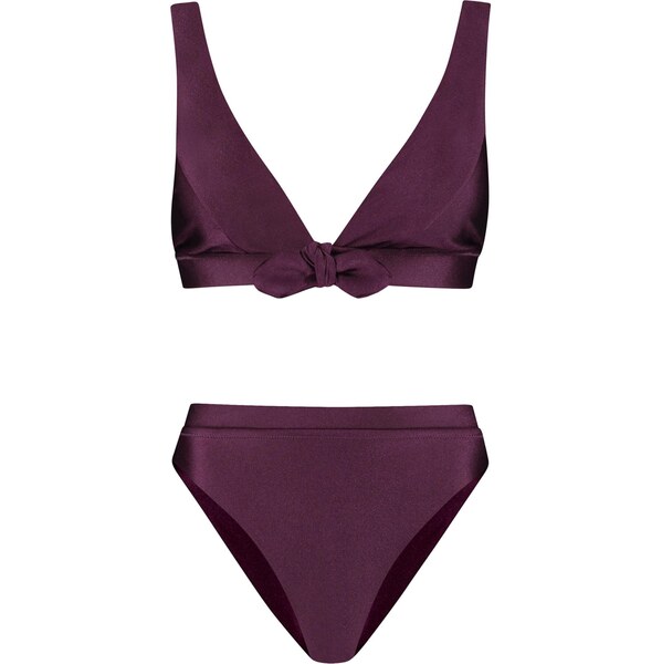 Shiwi Bikiny fialová 65651506