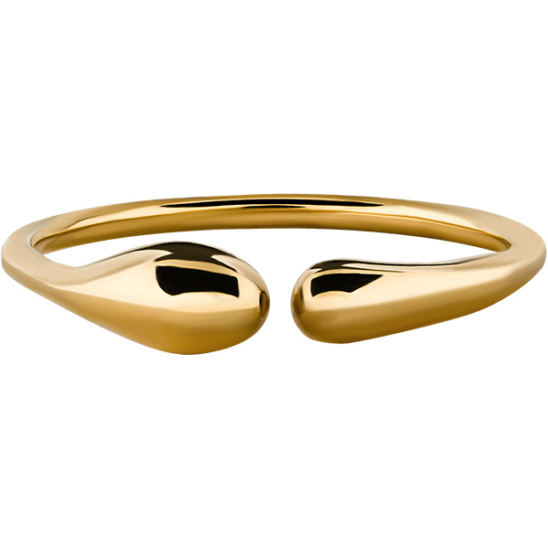 Olivie Strieborný prsteň KVAPKA GOLD 9463 63523343