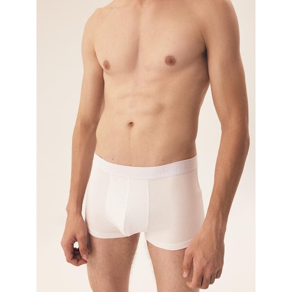 2PACK pánske boxerky Henderson 42963 Move 63032714