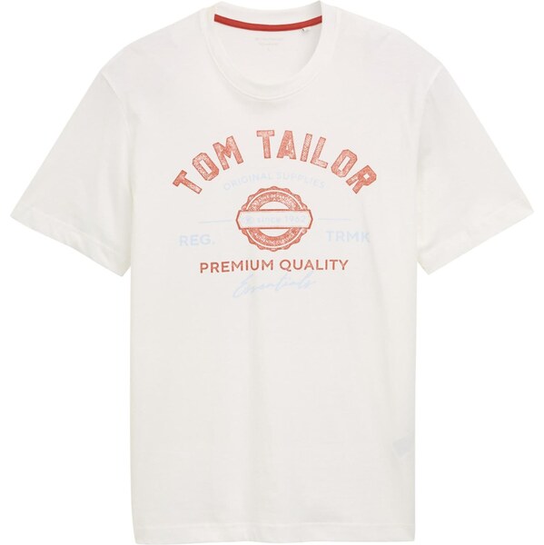 TOM TAILOR Tričko svetlomodrá / hrdzavo červená / šedobiela 63546009